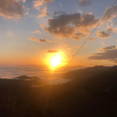 Nature Paradise アパート